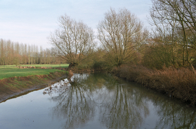 Cherwell river in winter